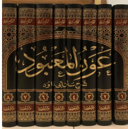 বি. আওনুল মাবুদ ৮ ভলিয়ম (১-৮) খণ্ড (বিদেশী)
